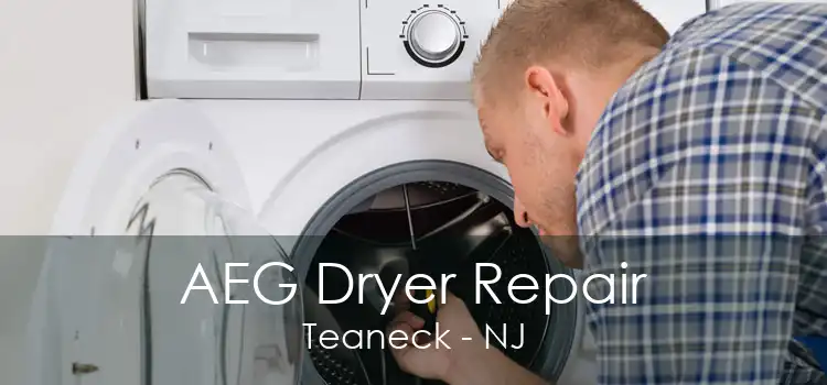 AEG Dryer Repair Teaneck - NJ