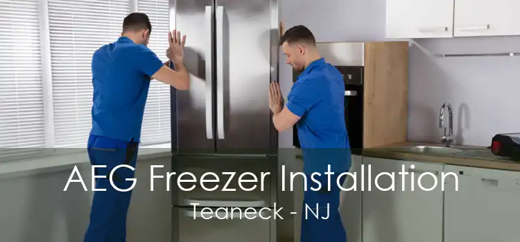 AEG Freezer Installation Teaneck - NJ