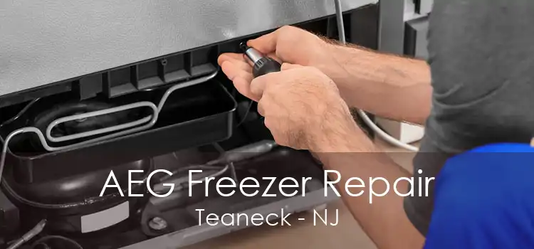 AEG Freezer Repair Teaneck - NJ