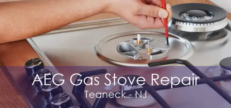 AEG Gas Stove Repair Teaneck - NJ