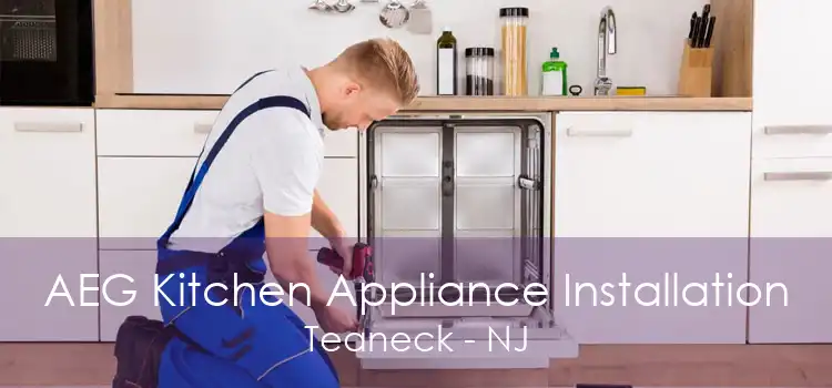 AEG Kitchen Appliance Installation Teaneck - NJ