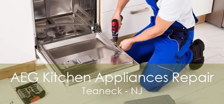 AEG Kitchen Appliances Repair Teaneck - NJ