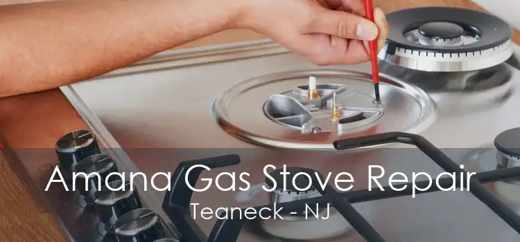 Amana Gas Stove Repair Teaneck - NJ