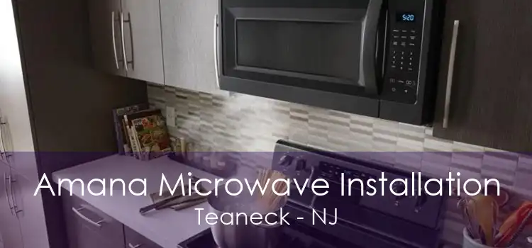 Amana Microwave Installation Teaneck - NJ