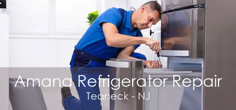 Amana Refrigerator Repair Teaneck - NJ