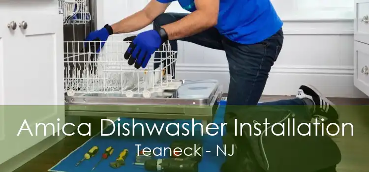 Amica Dishwasher Installation Teaneck - NJ