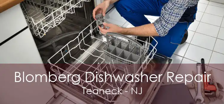 Blomberg Dishwasher Repair Teaneck - NJ