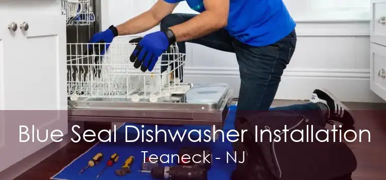 Blue Seal Dishwasher Installation Teaneck - NJ