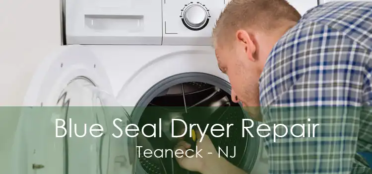 Blue Seal Dryer Repair Teaneck - NJ