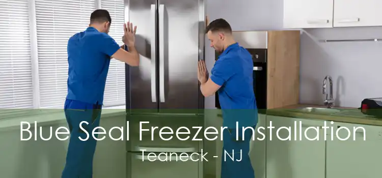 Blue Seal Freezer Installation Teaneck - NJ