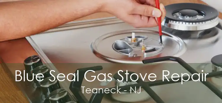 Blue Seal Gas Stove Repair Teaneck - NJ