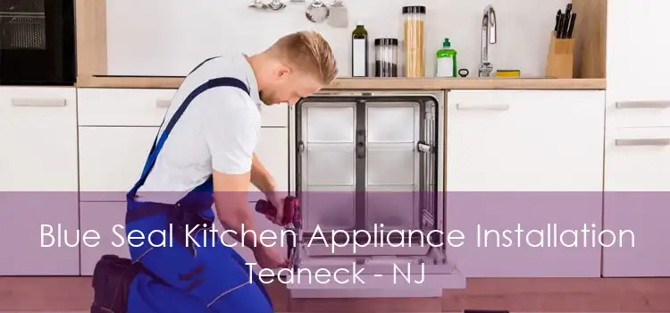 Blue Seal Kitchen Appliance Installation Teaneck - NJ