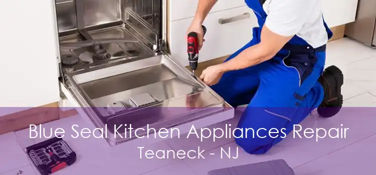 Blue Seal Kitchen Appliances Repair Teaneck - NJ