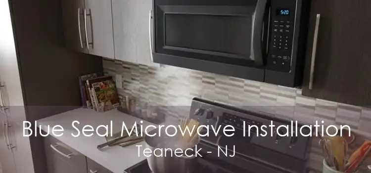 Blue Seal Microwave Installation Teaneck - NJ