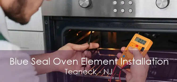 Blue Seal Oven Element Installation Teaneck - NJ