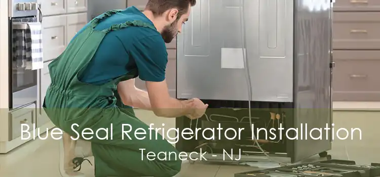 Blue Seal Refrigerator Installation Teaneck - NJ