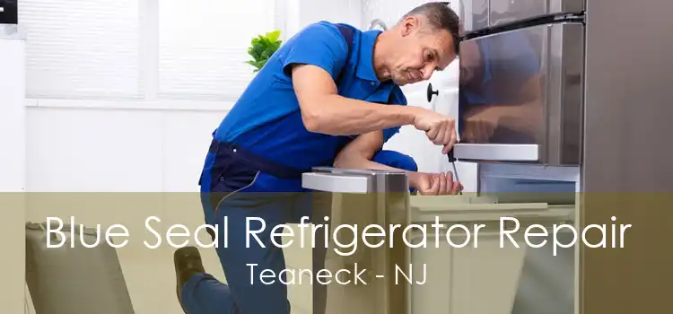 Blue Seal Refrigerator Repair Teaneck - NJ