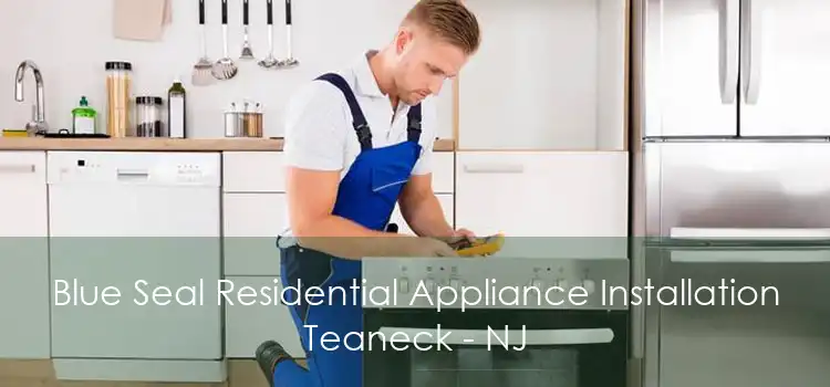 Blue Seal Residential Appliance Installation Teaneck - NJ