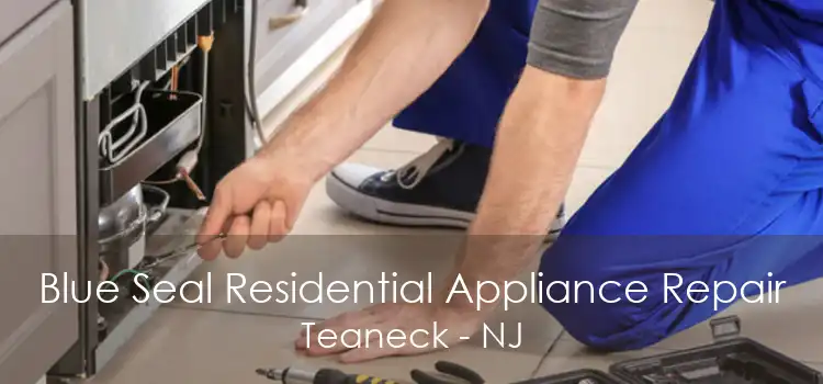 Blue Seal Residential Appliance Repair Teaneck - NJ