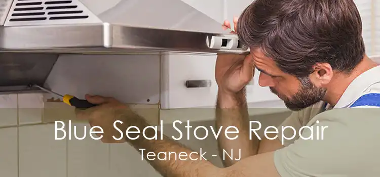 Blue Seal Stove Repair Teaneck - NJ