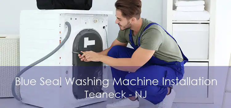 Blue Seal Washing Machine Installation Teaneck - NJ