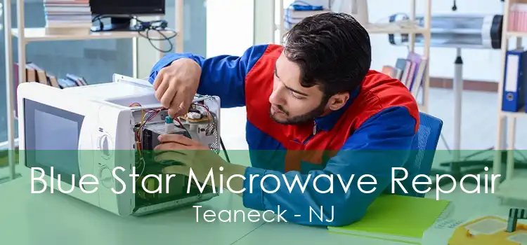 Blue Star Microwave Repair Teaneck - NJ