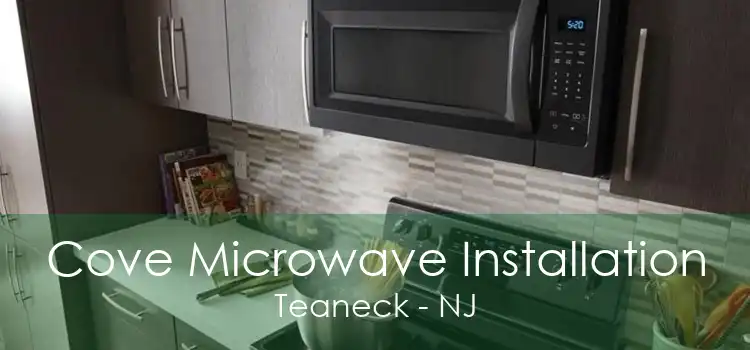 Cove Microwave Installation Teaneck - NJ