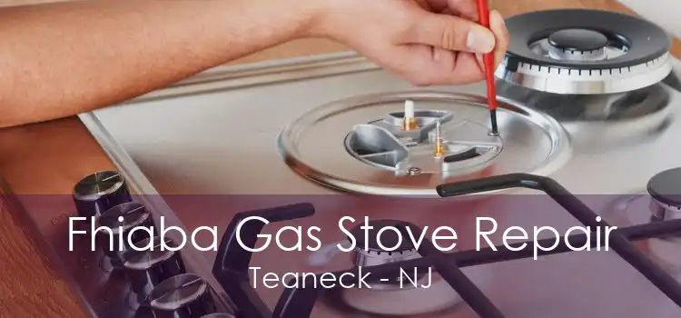 Fhiaba Gas Stove Repair Teaneck - NJ