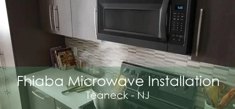 Fhiaba Microwave Installation Teaneck - NJ