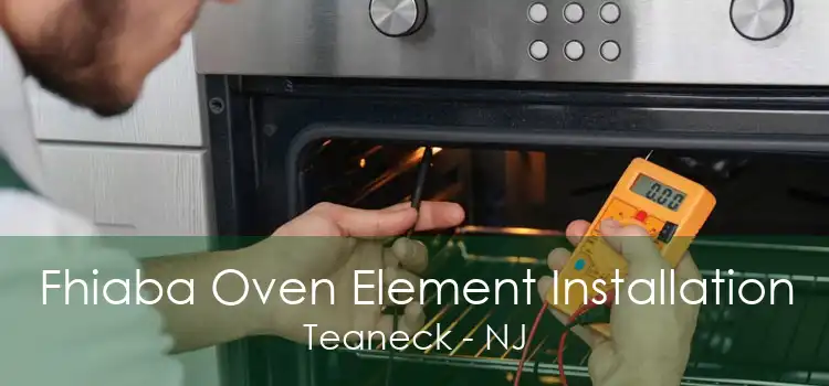 Fhiaba Oven Element Installation Teaneck - NJ