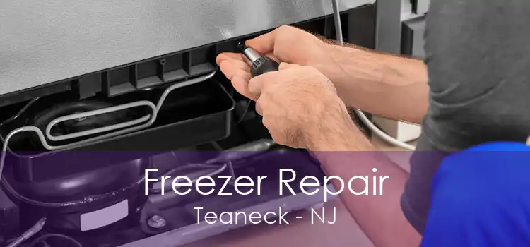 Freezer Repair Teaneck - NJ