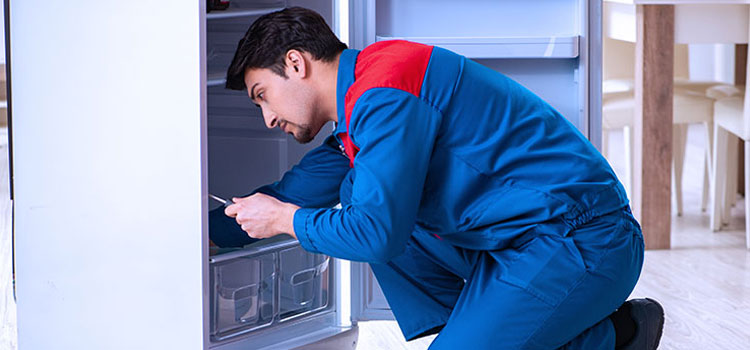 Freezer Repair Services in Teaneck, New Jersey