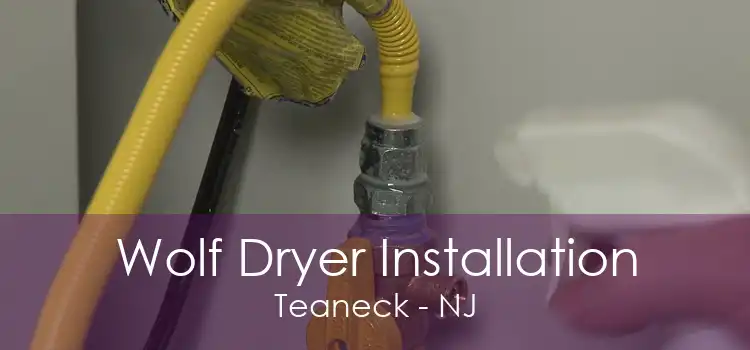 Wolf Dryer Installation Teaneck - NJ