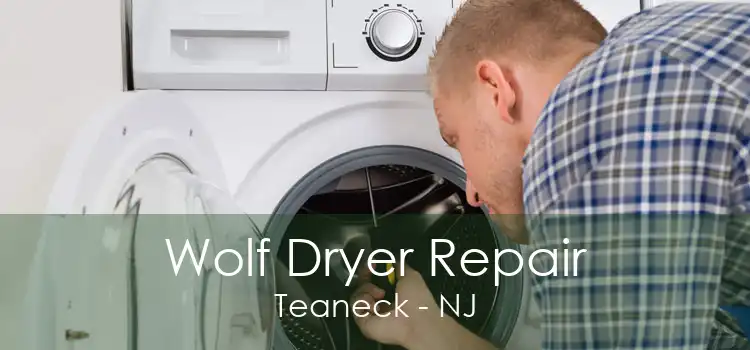 Wolf Dryer Repair Teaneck - NJ