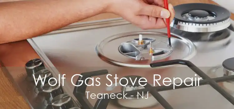 Wolf Gas Stove Repair Teaneck - NJ