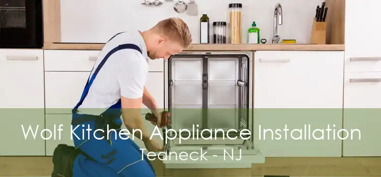 Wolf Kitchen Appliance Installation Teaneck - NJ